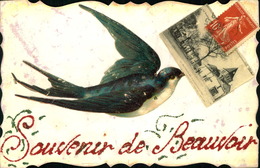 N°836 RRR GG SOUVENIR DE BEAUVOIR CARTE EN RELIEF  HIRONDELLE ET VUE DE BEAUVOIR - Beauvoir Sur Mer
