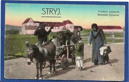 CPA Ukraine Attelage Ane Donkey Métier Type Tzigane Gipsy Bohémien Circulé - Ukraine