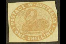 WESTERN AUSTRALIA 1854 1s Pale Brown Imperf, SG 4c, Unused Without Gum, 4 Margins. Fresh, Cat £475. For More Images, Ple - Other & Unclassified