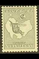 1913 2d Grey First WATERMARK INVERTED, SG 3w, Never Hinged Mint. A Lovely, Fresh Stamp. For More Images, Please Visit Ht - Andere & Zonder Classificatie