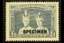 1938 £1 Bluish Slate "Robes" Overprinted "SPECIMEN", SG 178s, Never Hinged Mint. Very Scarce And Desirable. For More Ima - Other & Unclassified