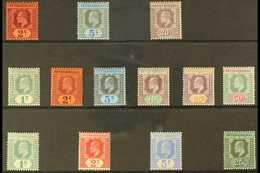 1902-11 MINT KEVII SELECTION Presented On A Stock Card That Includes 1902-04 2c, 5c & 20c, 1904-07 Set To 50c & 1908-11  - British Honduras (...-1970)