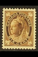 1897-98 6c Brown, SG 147, Well Centered Fine Mint For More Images, Please Visit Http://www.sandafayre.com/itemdetails.as - Autres & Non Classés