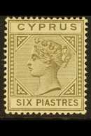 1892-94 6pi Olive-grey Die II, SG 36, Fine Mint, Lovely Fresh Colour. For More Images, Please Visit Http://www.sandafayr - Andere & Zonder Classificatie