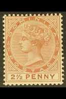 1877-79 2½d Red Brown, CC Wmk, SG 6, Very Fine Mint For More Images, Please Visit Http://www.sandafayre.com/itemdetails. - Dominica (...-1978)