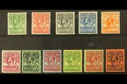 1929-37 Whale & Penguin Definitive Set, SG 116/26, Very Fine Mint (11 Stamps) For More Images, Please Visit Http://www.s - Falklandinseln