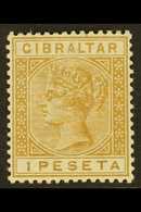 1889 1p Bistre, SG 30, Very Fine Mint.  For More Images, Please Visit Http://www.sandafayre.com/itemdetails.aspx?s=61534 - Gibraltar