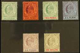 1904-08 Set To 1s, SG 56/61, Fine Mint. (6) For More Images, Please Visit Http://www.sandafayre.com/itemdetails.aspx?s=6 - Gibilterra