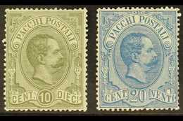 PARCEL POST 1884 10c Olive & 20c Blue, Sassone 1/2, Mi 1/2, 20c Blunt Perfs At Right, Otherwise Never Hinged Mint (2 Sta - Unclassified