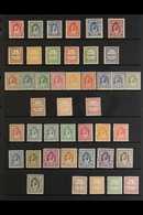 1929-49 VERY FINE MINT COLLECTION Presented On A Stock Page That Includes The 1929 Due Opt'd Set, 1929-39 Due Set, 1942  - Giordania