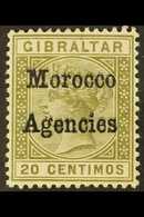 1898-1900 20c Olive-green With OVERPRINT DOUBLE, SG 3ca, Very Fine Mint. For More Images, Please Visit Http://www.sandaf - Altri & Non Classificati