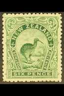 1898 6d Grass- Green No Wmk Perf 12 To 16 Kiwi Bird, SG 254a, Lightly Hinged Mint. Fresh & Attractive. For More Images,  - Andere & Zonder Classificatie