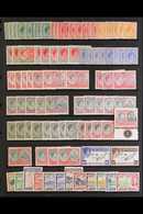 1938-52 UNCHECKED MINT / NHM HOARD CAT £900+ Presented On A Stock Page That Includes 1938-50 All Values To £1 With Many  - St.Kitts And Nevis ( 1983-...)