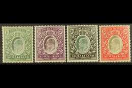 1904 1r, 2r, 3r, And 5r Definitive Top Values, SG 41/44, Very Fine Mint. (4 Stamps) For More Images, Please Visit Http:/ - Somaliland (Protectorate ...-1959)