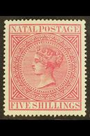 NATAL 1874 5s Rose, SG 72, Very Fine And Fresh Mint. For More Images, Please Visit Http://www.sandafayre.com/itemdetails - Unclassified