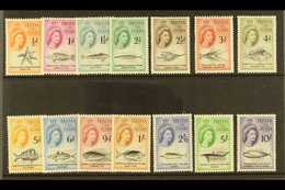 1960 Marine Life Definitive Set, SG 28/41, Never Hinged Mint (14 Stamps) For More Images, Please Visit Http://www.sandaf - Tristan Da Cunha