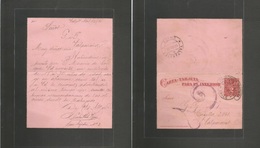 Chile - Stationery. 1895 (16-17 April) Valp Local Stat Lettersheet 2c Red Oval Ring "conduccion Gratuita" + "2" Charge C - Cile