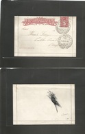 Chile - Stationery. 1899 (1 Jan) MISPLACED PRINT. Valparaiso Local Usage. 5c Red Stat Lettersheet, Better "zig-zag" Cond - Chili