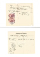 Dominican Rep. 1934. Fiscal Tax Stamps Usage, On German Polizei Document. VF Unusual Usage. - Dominicaine (République)