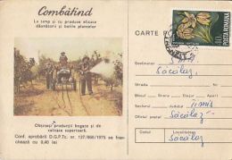 AGRICULTURE, PESTS ADVERTISING, ORCHARD, TRACTOR, SPECIAL POSTCARD, 1988, ROMANIA - Agriculture