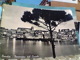 BRINDISI PANORAMA DAL CASALE CARGO NAVE SHIP VESTA VB1954 GT2486 - Brindisi