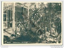 Berlin-Dahlem - Kakteenhaus Im Botanischen Garten - Foto-AK Grossformat - Dahlem