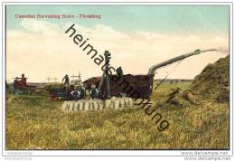Canadian Harvesting - Threshing - Dreschmaschine - Landwirtschaft - Sonstige & Ohne Zuordnung