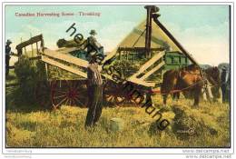 Canadian Harvesting - Threshing - Dreschmaschine - Landwirtschaft - Sonstige & Ohne Zuordnung