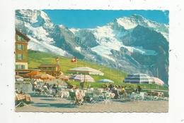 Mo , Cp , SUISSE ,BE , Kleine Scheidegg Mit Jungfrau , Vierge ,ed. Kiener ,n° 510 - Autres & Non Classés