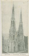 14 CARTE Dite MIGNONETTE - ETATS-UNIS - NEW-YORK - Cathédrale St-Patrick - Kirchen