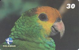 TARJETA DE BRASIL DE UN LORO (BIRD-PAJARO-PARROT) - Parrots