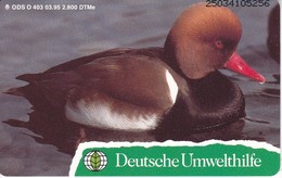 O 403 TARJETA DE ALEMANIA DE UN PATO COLORADO (PAJARO-BIRD)  (NUEVA-MINT)  DEUTSCHE UMWELTHILFE - O-Series: Kundenserie Vom Sammlerservice Ausgeschlossen