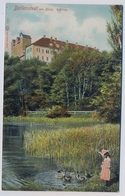 Ballenstedt, Schloss, Mädchen Füttert Enten About 1908y.    E491 - Ballenstedt
