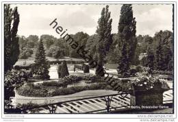 Berlin-Dahlem - Botanischer Garten - Foto-AK 50er Jahre - Dahlem