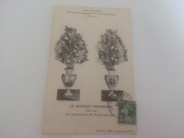 BB - 200 - PRECY-sur-OISE - Féderation Des Compagnies D'Arc De L'Ile De France 4 Mai 1913 -Le Bouquet Provincial - Tir à L'Arc