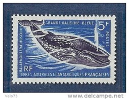 TAAF N° 22 BALEINE ** - Unused Stamps