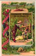 6 Cards  Chromos Pub Pharmacie  Normale  Escargot Snail Chauvesouris Bat Hirondelle Swalow  Impr. Courbe-Rouzet Litho - Pubblicitari