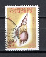 COMORES  N° 24  OBLITERE COTE 16.00€  COQUILLAGE - Used Stamps