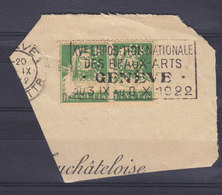 Switzerland Perfin Perforé Lochung 'N&Co.'Neuburger & Co. Flamme Exposition Nationale Des Beaux-Arts GENEVE - Gezähnt (perforiert)
