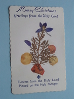 3 Cards ( Dry FLOWERS ) Merry Christmas Greetings From The HOLY LAND / Placed On The Holy Manger ( See Photo Detail ) ! - Altri & Non Classificati