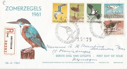 Netherlands 1961 Amsterdam Kingfisher Larus Argentatus Haematopus Ostralegus Vanellus Vanellus FDC Cover - Afstempelingen & Vlagstempels