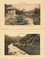 CPA 61 Lot De 2 Cartes Environs De FLERS Vallée De La Vère Réservoir De La Martinique - Flers