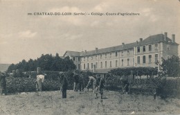 CPA 72 CHATEAU DU LOIR Collège Cours D'Agriculture - Chateau Du Loir