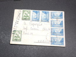 ARGENTINE - Carte Commerciale Pour La France En 1972 - L 20322 - Lettres & Documents