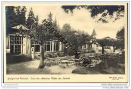 Georgenbad Neukirch - Foto-AK Handabzug - Neukirch (Lausitz)