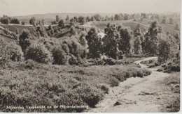 (NE436)  NIJVERDAL. VERGEZICHT OP DE NIJVERDALSEBERG - Nijverdal