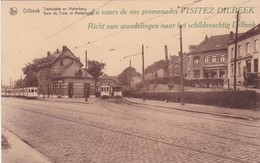 TRAMSTATIE EN MOLENBERG  GARE DU TRAM ET MOLENBERG  Prachtkaart - Dilbeek