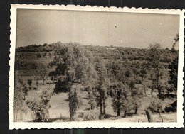 Photo Betting Les Saint Avold 28 Mai 1944 - Freyming Merlebach