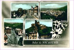 M7036 CALABRIA Nicastro Lamezia Terme Catanzaro VIAGGIATA 1959 - Lamezia Terme