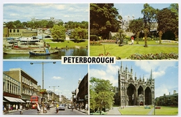 PETERBOROUGH : MULTIVIEW - Other & Unclassified
